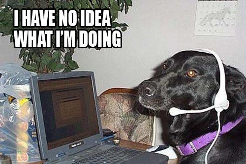 memedog